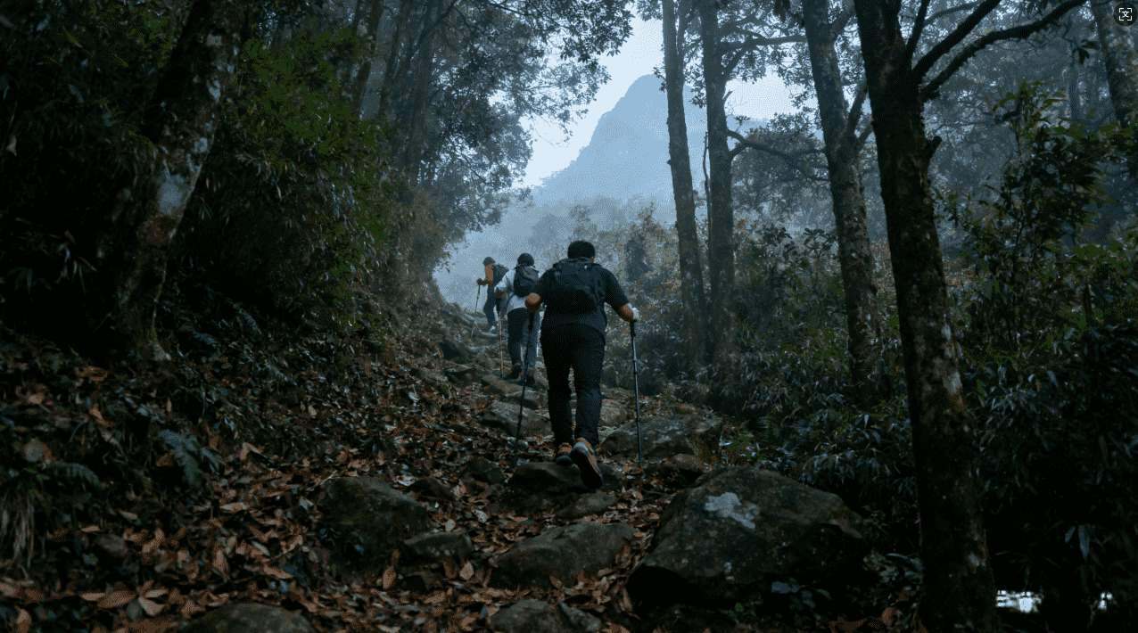 小旋风加速器免费下载最新版本推荐